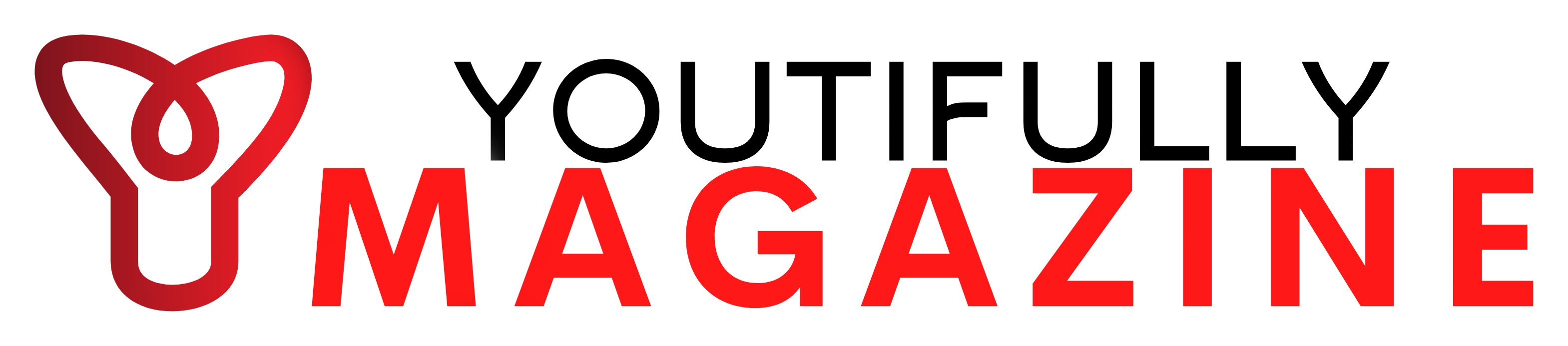 Magazine